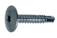 Samorezné skrutky s plochou hlavou 5,5 x 30 mm A2