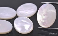 Biela škrupina, oválny tanier, 16x12 mm Biela škrupina, oválny tanier, 16x12 mm