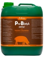 Probiotiká em15 probiotikum pre ošípané 10L Probiotiká em15 probiotikum pre ošípané 10L