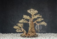 Aquasilva Mau aqua bonsai strom naplaveného dreva Aquasilva Mau aqua bonsai strom naplaveného dreva
