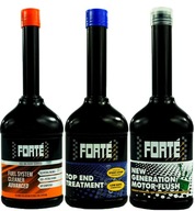 FORTE PREVENTION Benzín s priamym vstrekovaním MINI FORTE PREVENTION Benzín s priamym vstrekovaním MINI