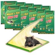2x Pasca na myši Lep Lep Trap Rats 5 kusov 2x Pasca na myši Lep Lep Trap Rats 5 kusov