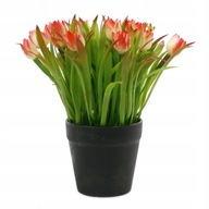 UMELÝ KVET Tulipán 20CM RÔZNE FARBY UMELÝ KVET Tulipán 20CM RÔZNE FARBY