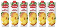 6x 1L FORTUNA nektár ananás BAL 6x 1L FORTUNA nektár ananás BAL