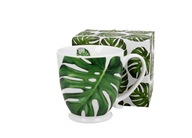 Jumbo pohár na nožičky 480 ml MONSTERA