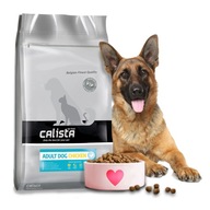 SUCHÉ KRMIVO PRE PSA KURA S VITAMÍNMI 12KG CALISTA SUCHÉ KRMIVO PRE PSA KURA S VITAMÍNMI 12KG CALISTA