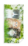 KOTKI kitty plážová osuška 70 x 140 cm (TNL214006) KOTKI kitty plážová osuška 70 x 140 cm (TNL214006)