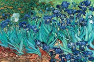 Plagát Van Gogh Vincent Les Irises 61x91,5 cm Plagát Van Gogh Vincent Les Irises 61x91,5 cm