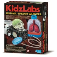 Anatómia Veda o ľudských orgánoch Zábava KidzLabs