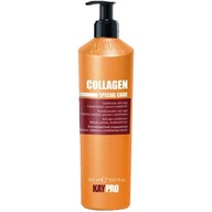 KayPro Kolagénový kondicionér proti starnutiu 350 ml KayPro Kolagénový kondicionér proti starnutiu 350 ml