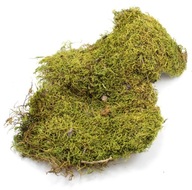 MECH v plátoch FLAT MOSS 200g MECH v plátoch FLAT MOSS 200g