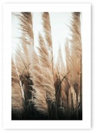Obraz plagátu Boho SUCHÁ TRÁVA B2 50x70cm #20N Obraz plagátu Boho SUCHÁ TRÁVA B2 50x70cm #20N
