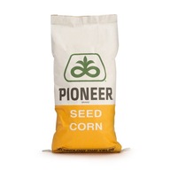 Semená kukurice P8255 Pioneer obilie a siláž Semená kukurice P8255 Pioneer obilie a siláž