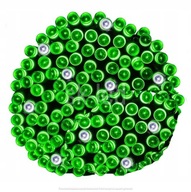 OSVETLENIE VIANOČNÉHO STROMČEKA 300 LED ZELENÁ PEVNÉ + BLESK 24M OSVETLENIE VIANOČNÉHO STROMČEKA 300 LED ZELENÁ PEVNÉ + BLESK 24M
