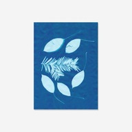 SOLAR PAPIER (KYANOTYP) 20 LISTOV 14 X 19C SOLAR PAPIER (KYANOTYP) 20 LISTOV 14 X 19C