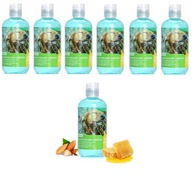 6 x ŠAMPÓN PRE PSY S KRÁTKOU SRSŤOU 6x250ml 6 x ŠAMPÓN PRE PSY S KRÁTKOU SRSŤOU 6x250ml