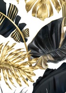Monstera gold Plagát Plagáty B2 70x50cm Papier200 Monstera gold Plagát Plagáty B2 70x50cm Papier200