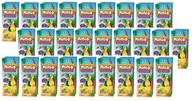MINI MULTIFRUIT NÁPOJ 200ML X 27KS MINI MULTIFRUIT NÁPOJ 200ML X 27KS