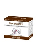 Biohepanex - na pečeň pre psov a mačky 40 kapsúl Biohepanex - na pečeň pre psov a mačky 40 kapsúl