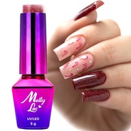MOLLY LAC BLIKAJÚCE SVETLÁ GLITTROVÉ HYBRIDNÉ LEŠKY MOLLY LAC BLIKAJÚCE SVETLÁ GLITTROVÉ HYBRIDNÉ LEŠKY