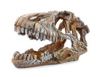 Happet U714 dekorácia do akvária dinosaurus lebka 17c