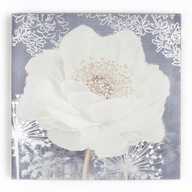 Obraz Kvet biela ruža postriebrený 60x60 cm 41-711