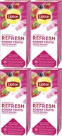 LESNÉ OVOCIE čaj Lipton 100 obálok LESNÉ OVOCIE čaj Lipton 100 obálok