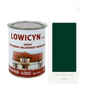 LOWICYN 10l strecha pozink TMAVOZELENÁ RAL6005 Mat