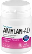 AMYLAN AD 30 tab. zlyhanie pankreasu AMYLAN AD 30 tab. zlyhanie pankreasu