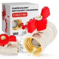 GUĽOVÝ VENTIL 1 GW, VODA UZAVRÁVANÁ, POTRUBIE MOTÝLIK, MOSADZNÁ tlmivka GUĽOVÝ VENTIL 1 GW, VODA UZAVRÁVANÁ, POTRUBIE MOTÝLIK, MOSADZNÁ tlmivka