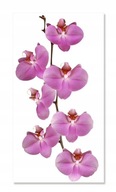 Samolepky na stenu nábytok zrkadlo 70cm Orchidea 2 Samolepky na stenu nábytok zrkadlo 70cm Orchidea 2