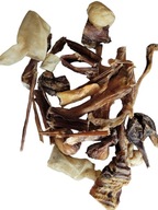 MIX Drobných ŽUVAČIEK pre psov 100% NATURAL 500g MIX Drobných ŽUVAČIEK pre psov 100% NATURAL 500g