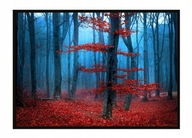 OBRAZOVÝ PLAGÁT V RÁME 53x73 cm Forest P1807 OBRAZOVÝ PLAGÁT V RÁME 53x73 cm Forest P1807