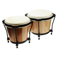 Corvus bongos