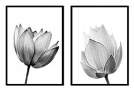 OBRAZOVÉ PLAGÁTY V RÁME 53x73cm Diptych Kvety P1711 OBRAZOVÉ PLAGÁTY V RÁME 53x73cm Diptych Kvety P1711
