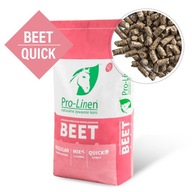 Pro-Linen Beet Quick 20 kg repná dužina Pro-Linen Beet Quick 20 kg repná dužina