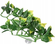 EXO TERRA AMAPALLO S terarijná rastlina 32cm