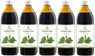 5 x Symbiotics Žihľava 1000 ml Pôsobí na močové ústrojenstvo Detoxikácia organizmu