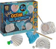 SET MORSKÉ VYKOPÁVKY FOSILY STVOROV SET MORSKÉ VYKOPÁVKY FOSILY STVOROV