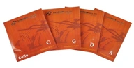 SANDNER VIELLO/CELLO STRUNY 3/4 SANDNER VIELLO/CELLO STRUNY 3/4