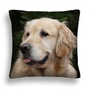 VANKÚŠ PRE PSA 11 LABRADOR VANKÚŠOK + VLOŽKA 40X40