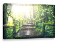 LED OBRAZ 120x80 - podsvietený - SLNEČNÉ LÚČE LED OBRAZ 120x80 - podsvietený - SLNEČNÉ LÚČE