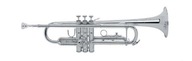 NOVÁ TRUBKA CARVELLI CTP-115SL + Púzdro NOVÁ TRUBKA CARVELLI CTP-115SL + Púzdro