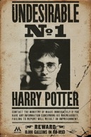 Hľadá sa Harry Potter - plagát 61x91,5 cm