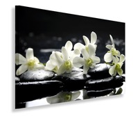 OBRAZ BIELE ORCHIDEJ KVETY 120x80 do obývačky OBRAZ BIELE ORCHIDEJ KVETY 120x80 do obývačky