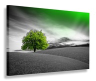 OBRAZ OBRAZ NA PLÁTNO ZELENÝ STROM 120x80 OBRAZ OBRAZ NA PLÁTNO ZELENÝ STROM 120x80