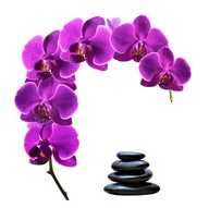 Dekoratívna nálepka na stenu DS 85x88cm kvety orchideí Dekoratívna nálepka na stenu DS 85x88cm kvety orchideí