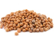 Semeno HORČICE BIELY 1 kg - Aromatika Semeno HORČICE BIELY 1 kg - Aromatika