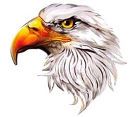 NÁLEPKA NA AUTOMOTORKU EAGLE EAGLE HEAD BIRD NÁLEPKA NA AUTOMOTORKU EAGLE EAGLE HEAD BIRD