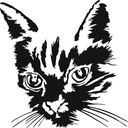 Nálepka na stenu CAT mačiatko 70x70 cm
